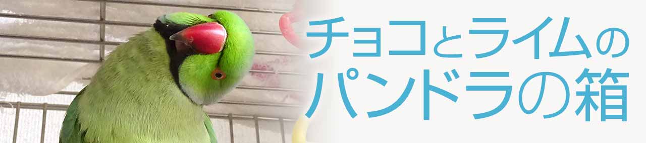 Line着せかえ順位検索 チョコとライムのパンドラの箱 セキセイインコ ラブ