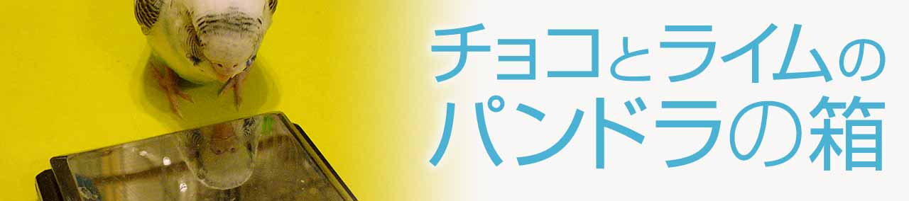 チョコとライムのパンドラの箱