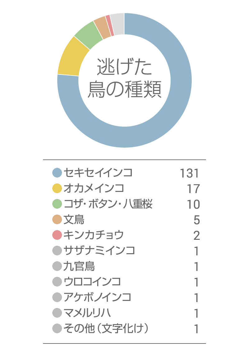 逃げた鳥さんの種類