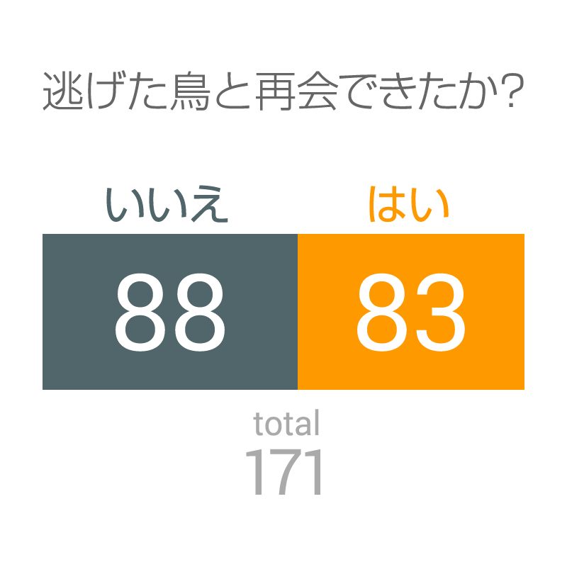 逃げた鳥と再会できたか？